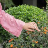 Mysa