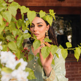 Surmayi