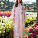 Blush Meadow