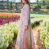 Blush Meadow