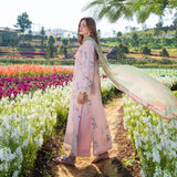 Blush Meadow