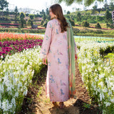 Blush Meadow